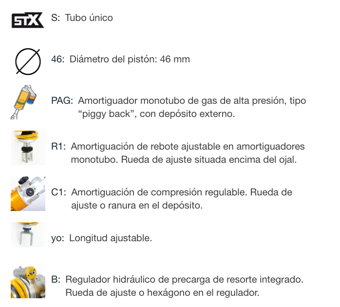 SUSPENSION OHLINS BMW R NINET ALTURA 375 STX 46 BM 450